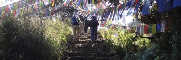 4ème jour à Katmandou
